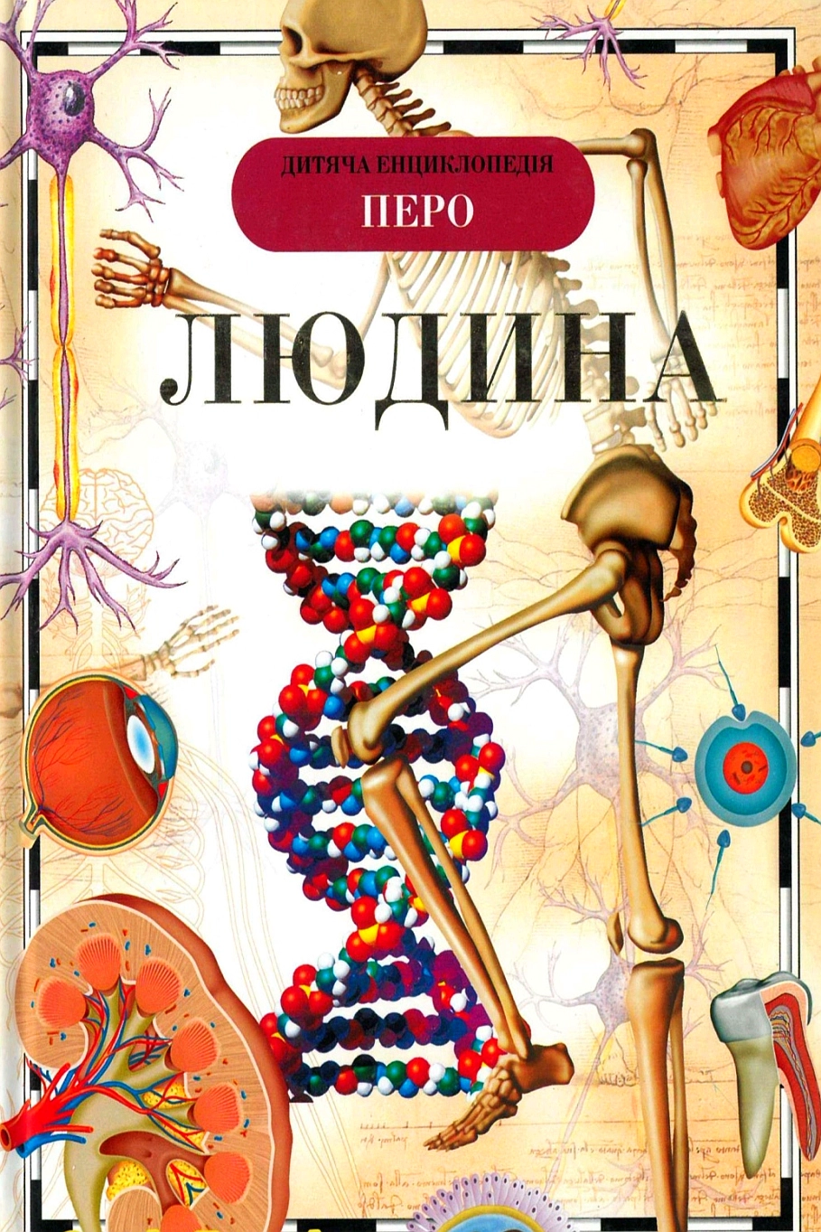 Людина. Дитяча енциклопедія - М. Лук'янов